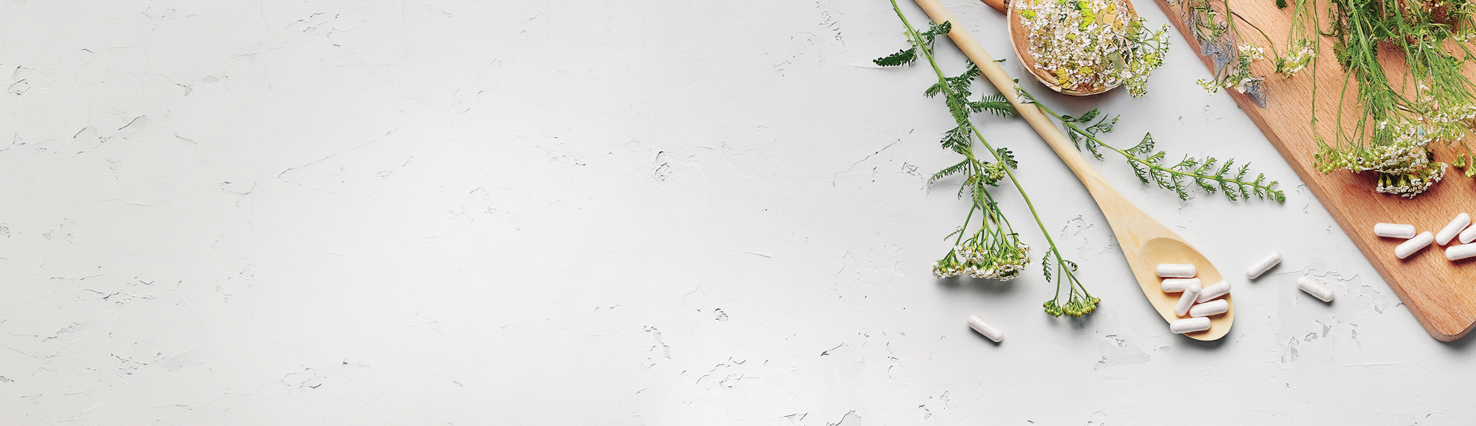 Herbal ingredients and capsules for formula library