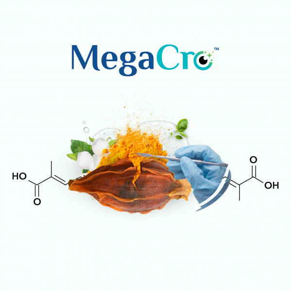 megacro_picture_1