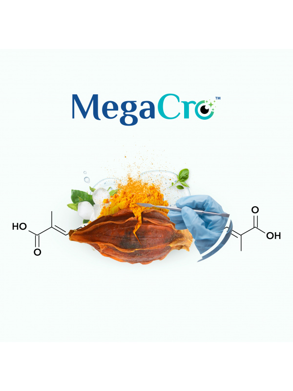 megacro_picture_1