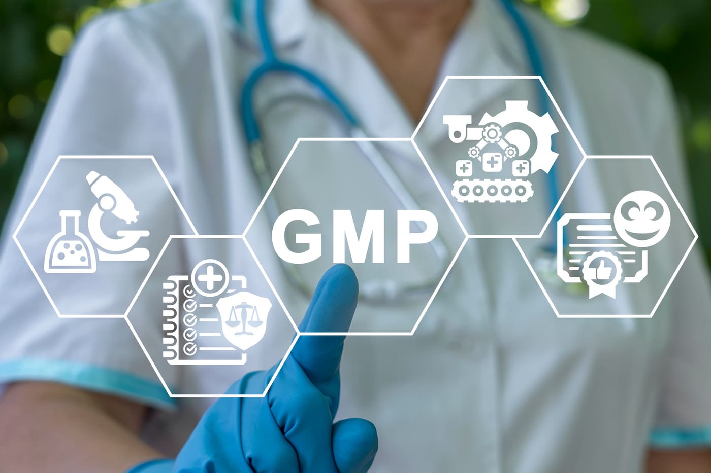 GMP certification