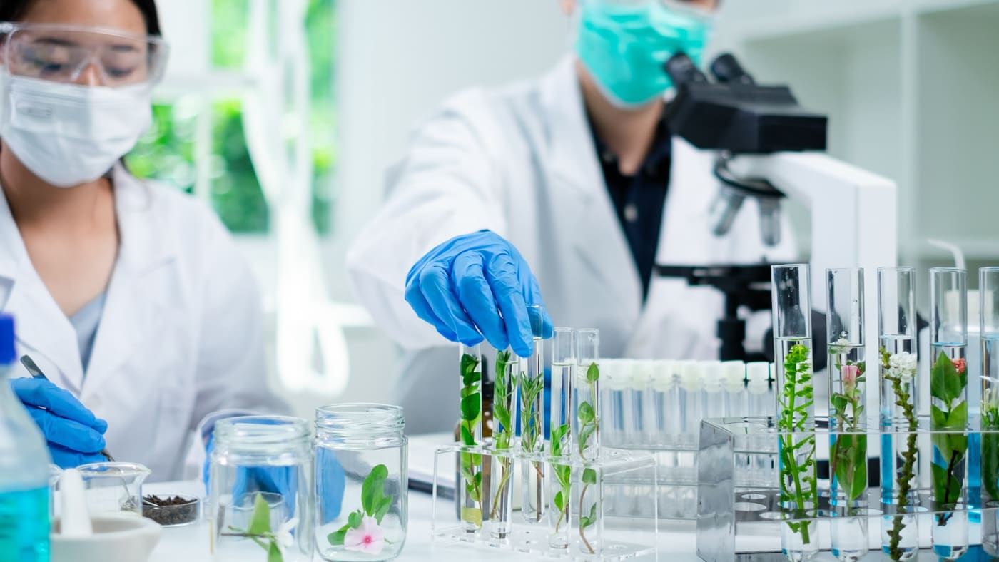 Scientists examining specimens